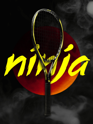 Ninja Flagship V1